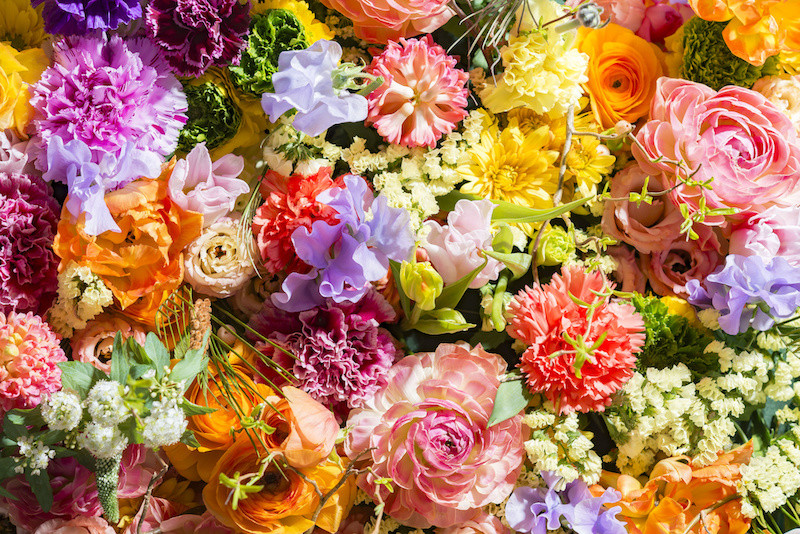 ギャラリーを更新していきます